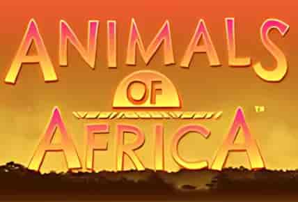 animals-of-africa.jpg
