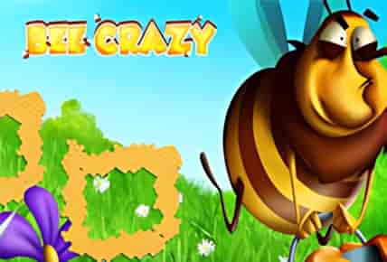 Bee Crazy