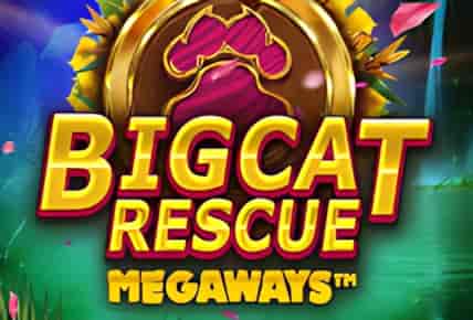 Big Cat Rescue MegaWays