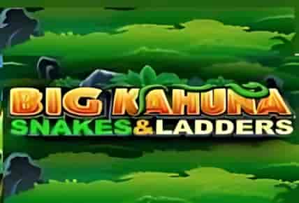 Big Kahuna Snakes and Ladders