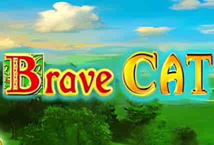 Brave Cat