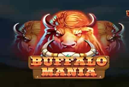 Buffalo Mania