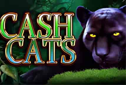 cash-cats.jpg