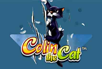 Colin the Cat