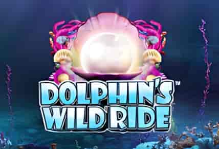 dolphins-wild-ride.jpg