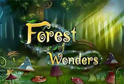 Forest Wonders