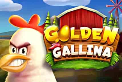 Golden Gallina