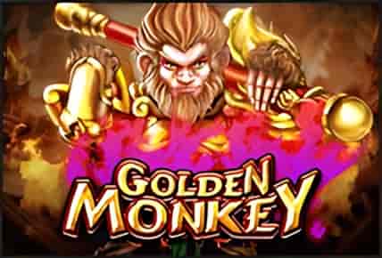 Golden Monkey