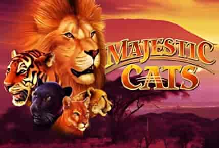 Majestic Cats