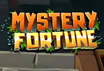 Mystery Fortune