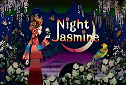 Night Jasmine
