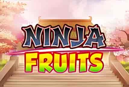 ninja-fruits.jpg