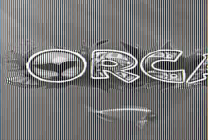 Orca