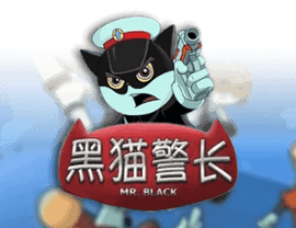 Play Detective Black Cat