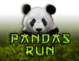 Play Panda's Run