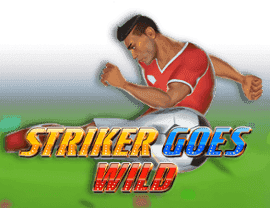 Play Striker Goes Wild
