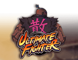 Play Ultimate Fighter
