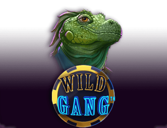 Play Wild Gang