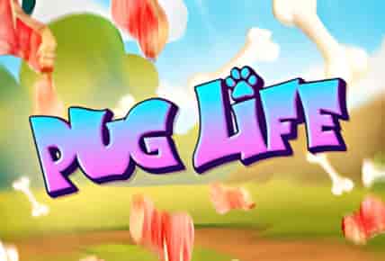 pug-life.jpg