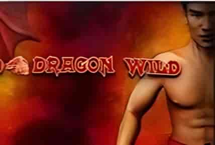 Red Dragon Wild