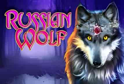 Russian Wolf