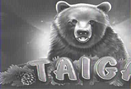 Taiga
