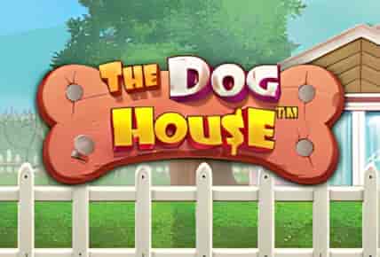 the-dog-house.jpg