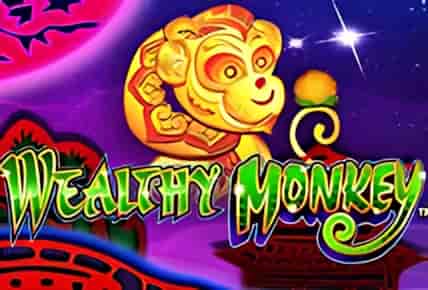 Wealthy Monkey