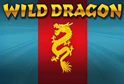 Wild Dragon