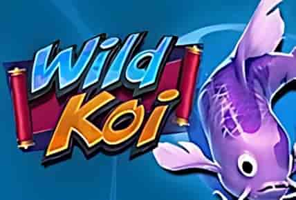 Wild Koi