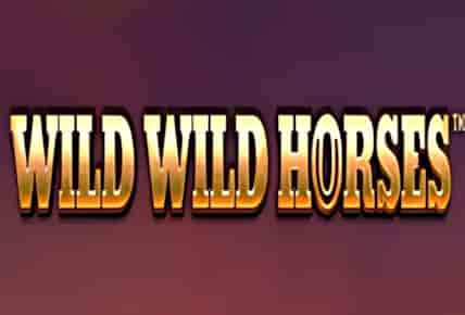 Wild Wild Horses