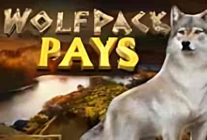 wolfpack-pays.jpg