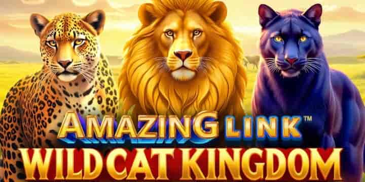 Amazing Link WildCat Kingdom 