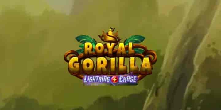 Royal Gorilla 