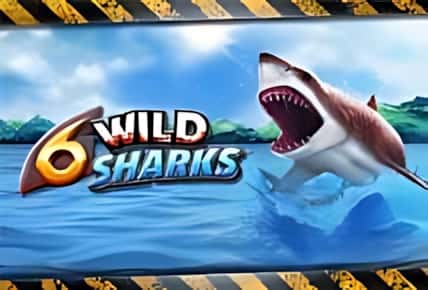 6 Wild Sharks