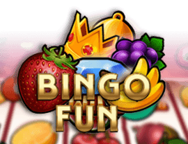 Bingo Fun