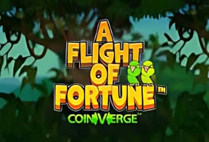 a-flight-of-fortune.jpg
