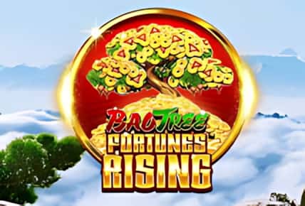 Bao Tree Fortunes Rising