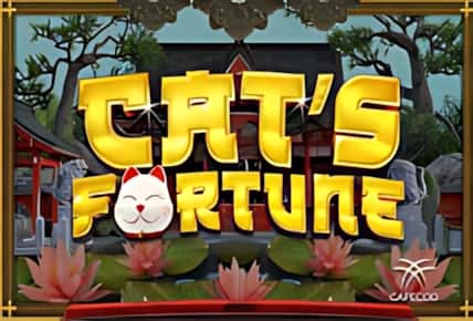 Cat&#8217;s Fortune