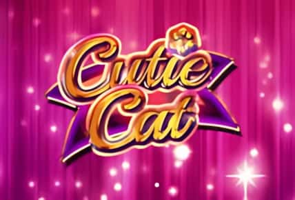 Cutie Cat