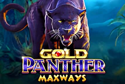 Gold Panther Maxways