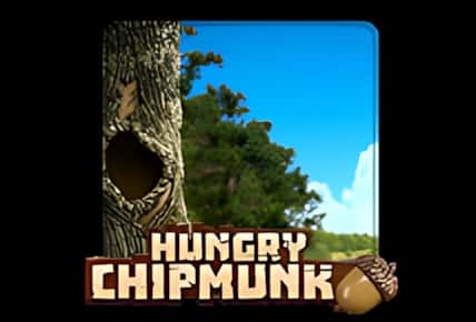 Hungry Chipmunk