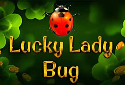 Lucky Lady Bug