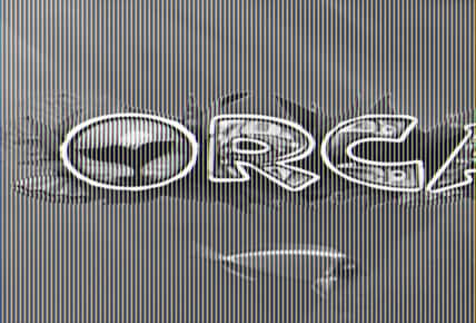 Orca