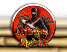 Play Ninja Spirit