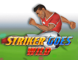 Play Striker Goes Wild