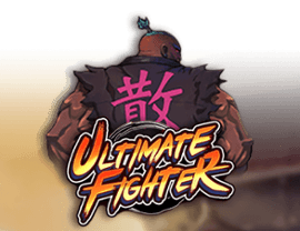 Play Ultimate Fighter