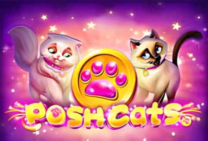 Posh Cats