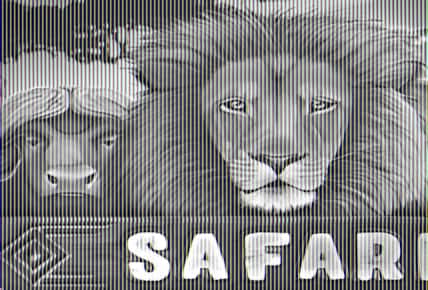 Safari