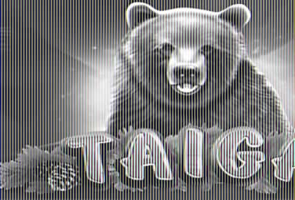 Taiga